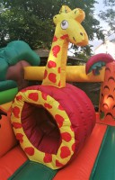 /album/fotogalerie-centrum-safari-8m-s-x-6m-d-x-3-44m-v/safari-zirafa-jpg/